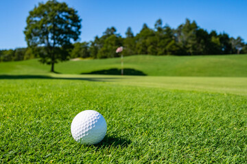 View of Golf Course with beautiful putting green. Golf course with a rich green turf beautiful...
