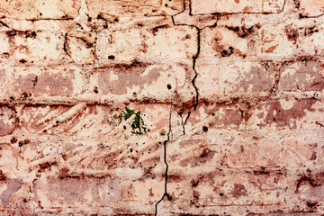 Texture of a concrete wall with cracks and scratches which can be used as a background