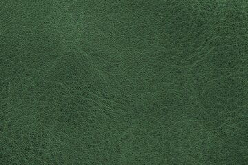 Natural leather, close-up, background for design