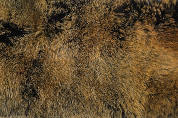 Natural fur (fox) background