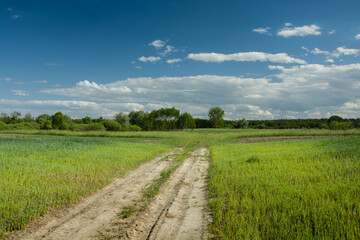 Dirt road through green fields, forest and clouds on a sky