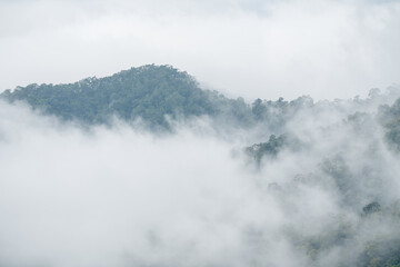 foggy landscape in the mountains