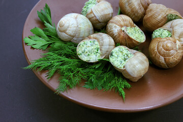 Escargot snails cooked with garlic butter on plate