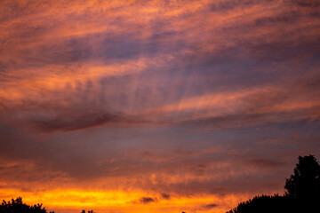 Beautiful and romantic clouds of warm colors during sunset. Sunset as background. Resource for designers.