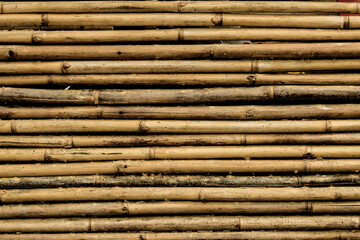 bamboo fence texture and background