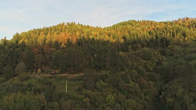 4k Aerial view of Pine forest in Forbach village, Germany