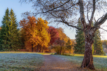Golden autumn in Pavlovsk Park. Pavlovsk, Saint Petersburg, Russia