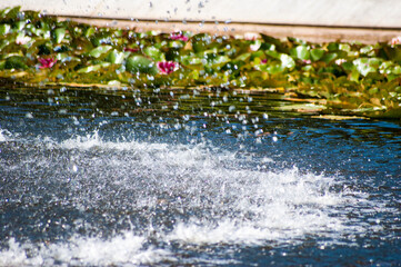Water splashes and drops in park fountain pond