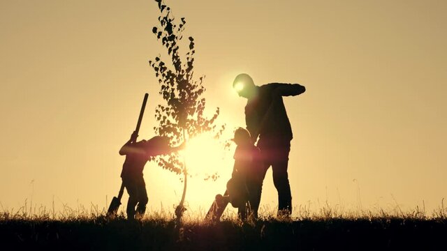A happy family of farmers. Silhouette of a father and two children planting and watering a tree in the Park at sunset.