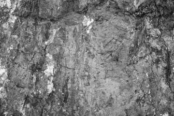 gray stone texture and background