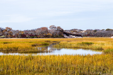 autumn landscape with river and trees, Provincetown, Cape Cod, Massachusetts