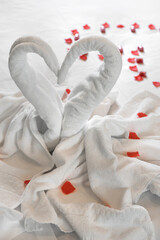 White two towel swans on the bed