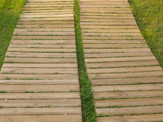 Wooden boardwalk on the fresh green lawn in the garden for protection, footpath made from unpainted boards