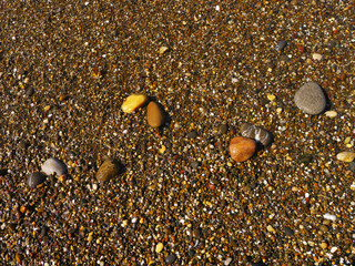 Multicolored sea pebbles, natural background. Texture close up of colorful sea pebbles. Small wet stones. Sea shore background