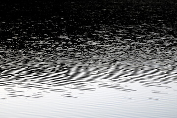 Dark reflections in water