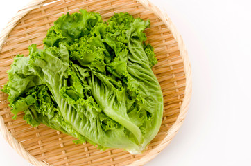 グリーンリーフ