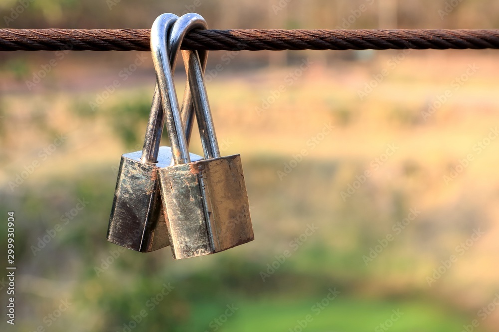 Wall mural a couple of padlocks fixed to cable of the bridge at tourist attraction, symbolic of together and fo