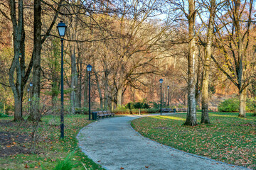 Pedestrian path in autumn park with street lantern and yellow trees