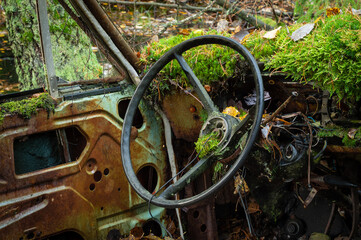 Closeup on old car in forest