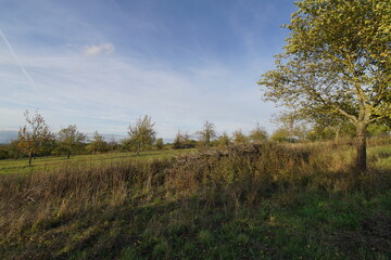Landschaft Ochsenfurter Gau Nähe Gnodstadt