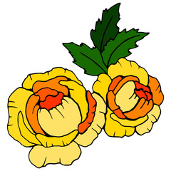 decorative rose, flower bouquet, isolate on a white background