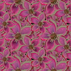 Seamless floral retro pattern. Large lilac pink flowers. Ornament.