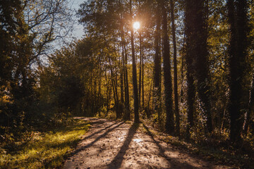 Obraz premium Autumn Horizontal in Park Landscape