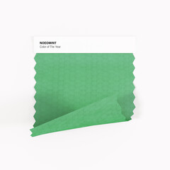 Neo mint. The color of the year 2019. Green piece of fabric.Textile swatch mock-up. Trendy color palette. 3d rendering.