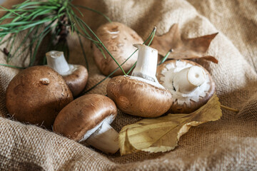 Fresh brown mushrooms champignons on the sackcloth.
