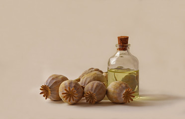 Obraz na płótnie Canvas Poppy seed oil