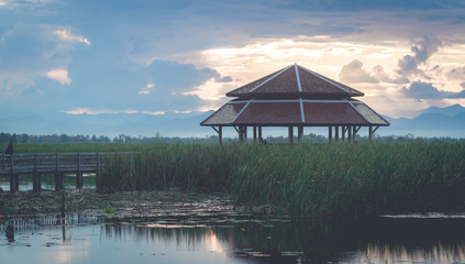 scenary of fresh water lotus lake in San Roi Yod Nationpark Thailand