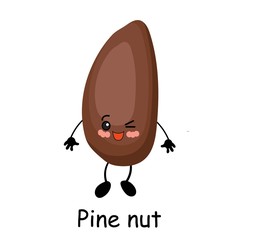 Pine nut. The fruit of the cedar tree. Vector illustration. Walnut character isolated on white background..
