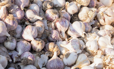 Garlic as background and texture.