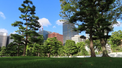 Fototapeta na wymiar Nice views park on Tokyo - Japan