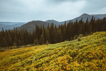 Location Carpathian national park, Ukraine, Europe.