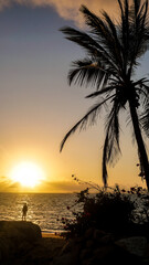 sunrise and palm trees