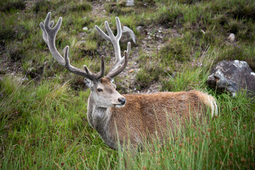 Scotland Uk, France and Spain, a collection