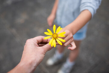 黄色い花を手渡す親子