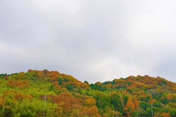 紅葉の彩る山