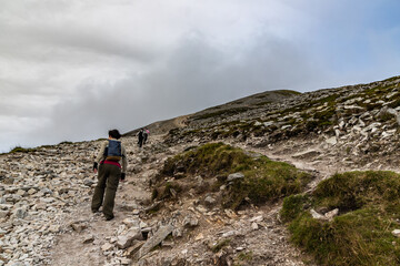 Trail, Rocks and vegetation at Croagh Patrick mountain with Westport in background
