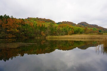 紅葉と水面に反射する山の景色