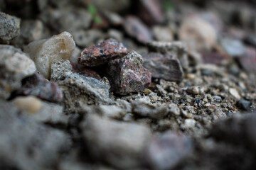 Small rocks on the ground close up