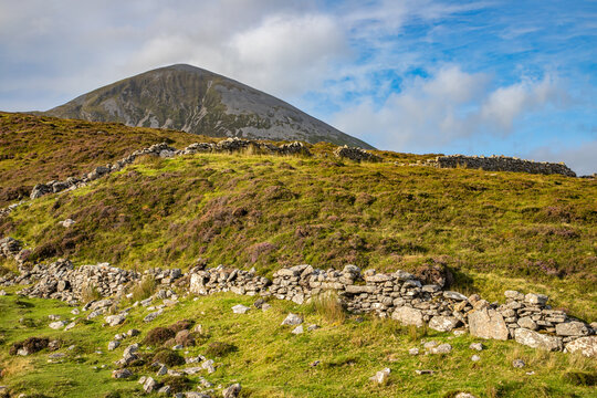 Rock wall and vegetation at Croagh Patrick mountain