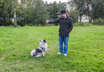 Naklejka na ściany i meble Young man teaches Keeshond puppy teams outdoors. The puppy is sitting and looking at the man. Early autumn