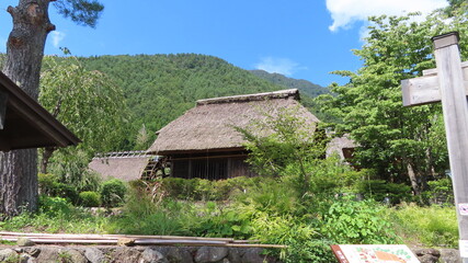 Nice views park on Tokyo - Japan