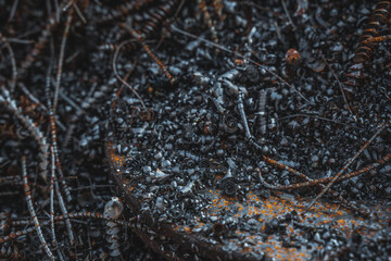 Bunch of Scrap Metal Shavings