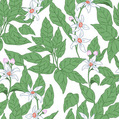 Seamless pattern, background with orange blossom tree branches