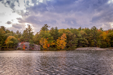 Fototapeta premium autumn in the park, Ontario, Canada
