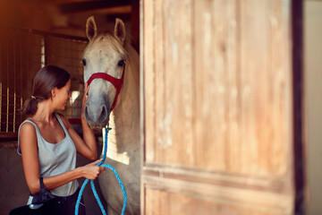Horses in stable.Girl taking care about a horse on an animal ranch