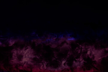 Fototapeta na wymiar Beautiful abstract purple and blue feathers on the dark and black background and colorful soft black feather texture